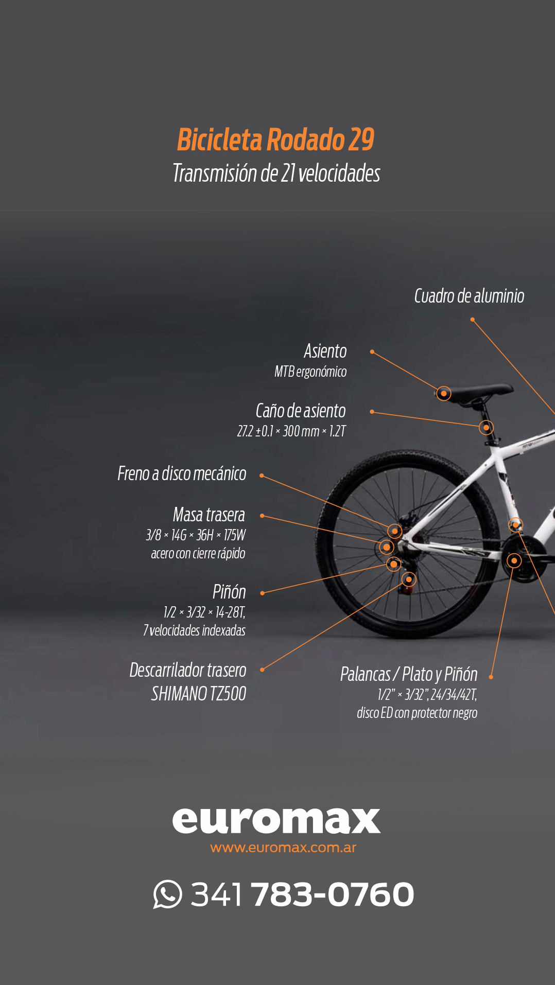 bici-euromax-componentes-ig1
