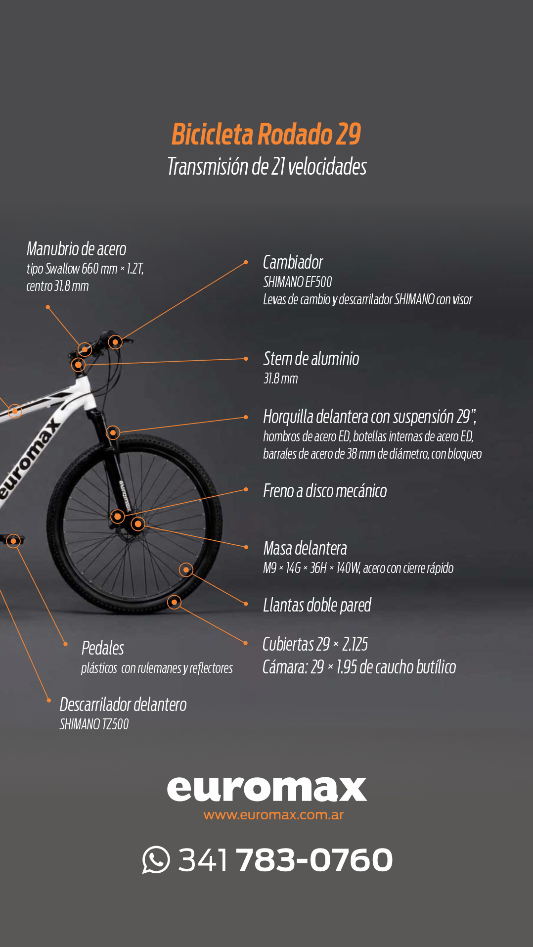 bici-euromax-componentes-ig2